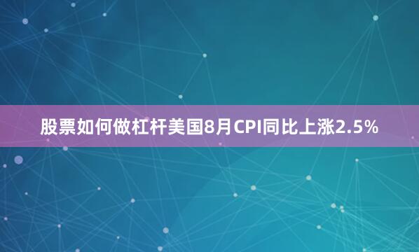 股票如何做杠杆美国8月CPI同比上涨2.5%